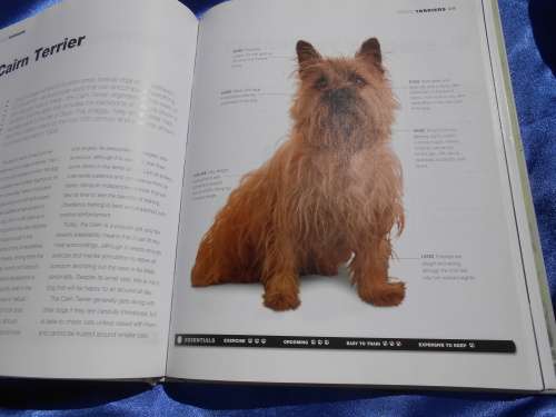 `Dogs`  From the extremely large to the very small.  Hard cover.