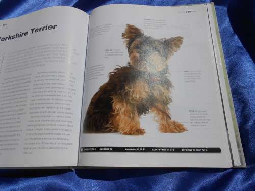 `Dogs`  From the extremely large to the very small.  Hard cover.
