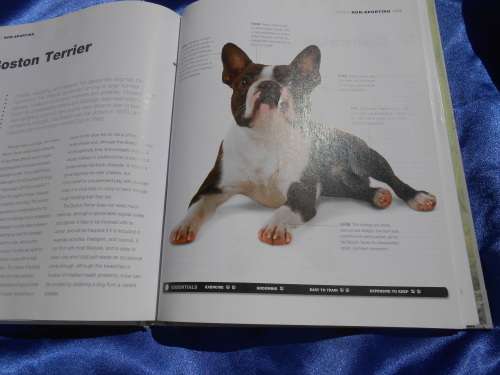 `Dogs`  From the extremely large to the very small.  Hard cover.