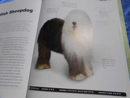 `Dogs`  From the extremely large to the very small.  Hard cover.