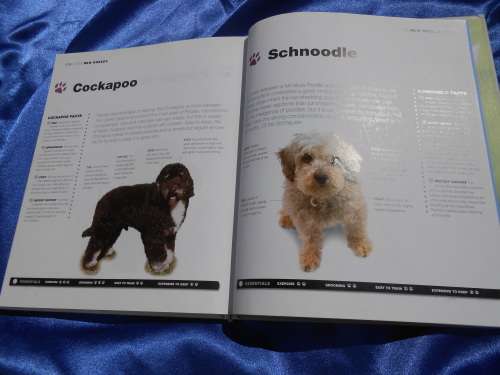 `Dogs`  From the extremely large to the very small.  Hard cover.