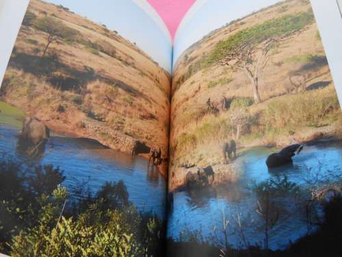 `The elephant whisperer`  Lawrence Anthony.  Soft cover.