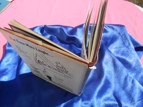 1959  Hard cover `Mad Forever`