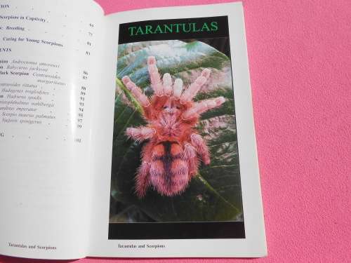 `Tarantulas & Scorpions in Captivity`  Russ Gurley.  Soft cover.
