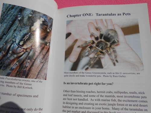 `Tarantulas & Scorpions in Captivity`  Russ Gurley.  Soft cover.