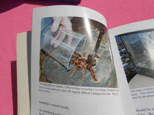 `Tarantulas & Scorpions in Captivity`  Russ Gurley.  Soft cover.