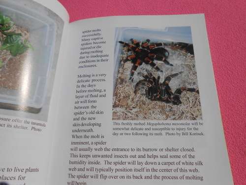 `Tarantulas & Scorpions in Captivity`  Russ Gurley.  Soft cover.