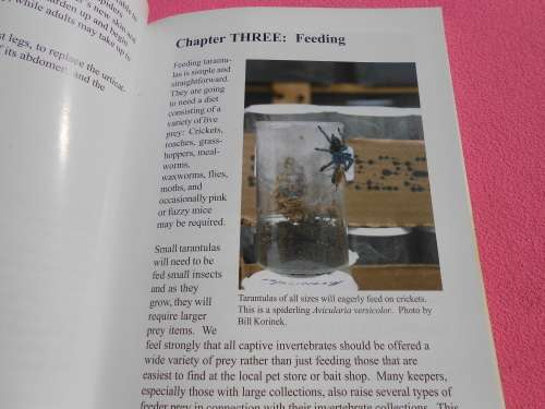 `Tarantulas & Scorpions in Captivity`  Russ Gurley.  Soft cover.