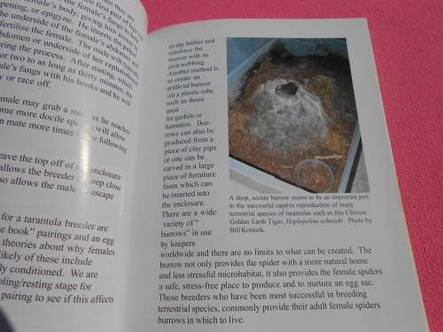 `Tarantulas & Scorpions in Captivity`  Russ Gurley.  Soft cover.