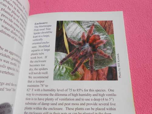`Tarantulas & Scorpions in Captivity`  Russ Gurley.  Soft cover.