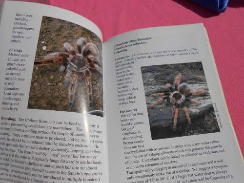 `Tarantulas & Scorpions in Captivity`  Russ Gurley.  Soft cover.