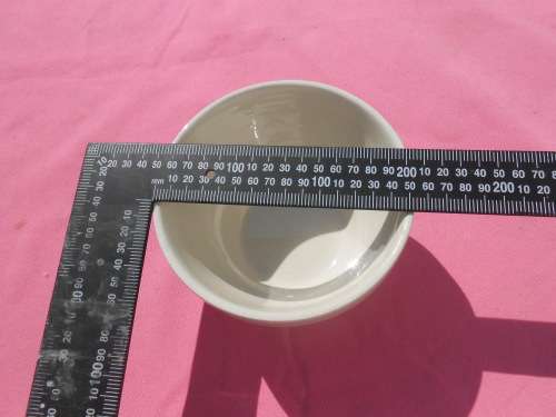 Pudding basin, no chips, cracks or repairs.  T.G. Green.