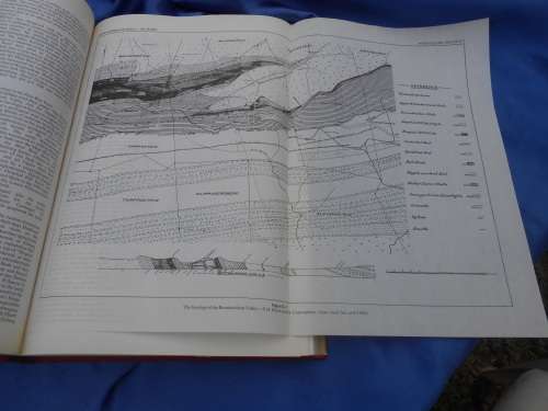 `Witwatersrand Gold 100 Years`  Hard cover.