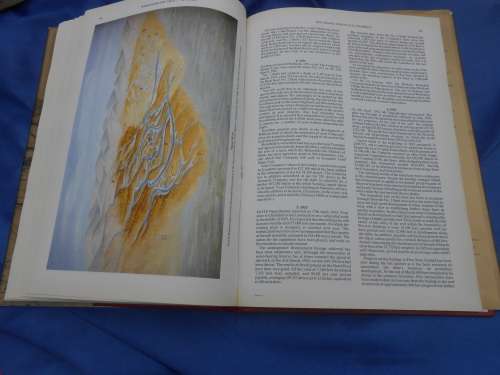 `Witwatersrand Gold 100 Years`  Hard cover.