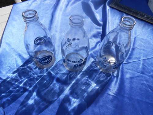 Three glass milk bottle in their plastic carrier.