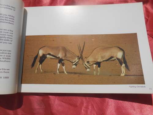 `Kalahari Safari`  Jill Sneesby & Barrie Wilkins.  Soft cover.