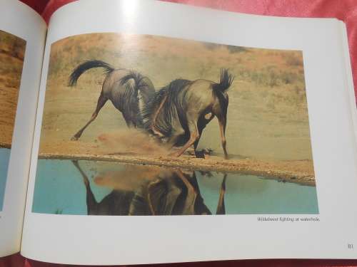 `Kalahari Safari`  Jill Sneesby & Barrie Wilkins.  Soft cover.