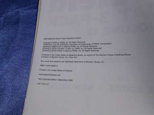 `Garfield Fat Cat 3 Pack`  Soft cover.