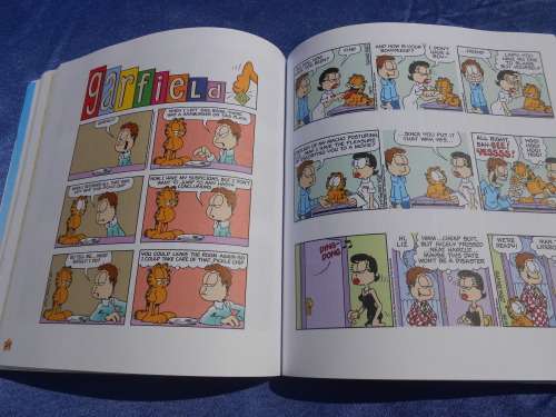 `Garfield Fat Cat 3 Pack`  Soft cover.