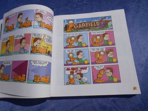 `Garfield Fat Cat 3 Pack`  Soft cover.