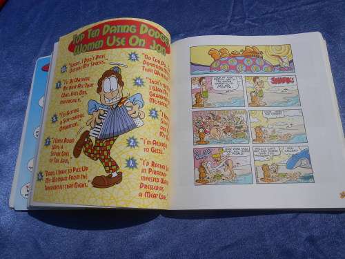 `Garfield Fat Cat 3 Pack`  Soft cover.