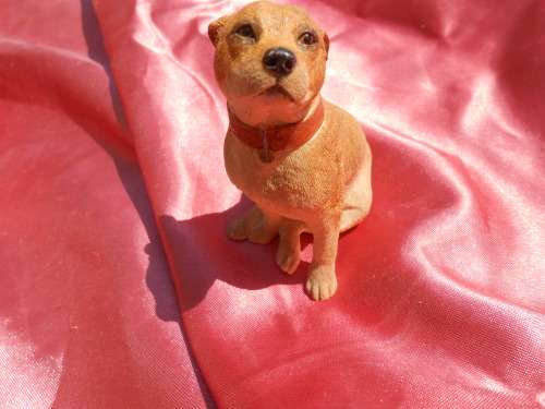 Dog.  Sherratt & Simpson.