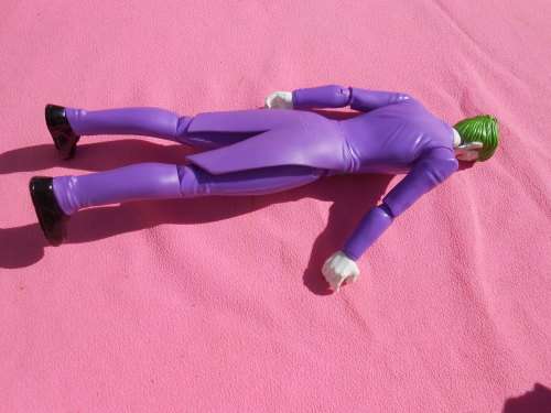 12` Action Figure.  Second-hand  (E)