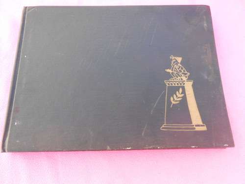 `So Sorry, we won!`  Hard cover.