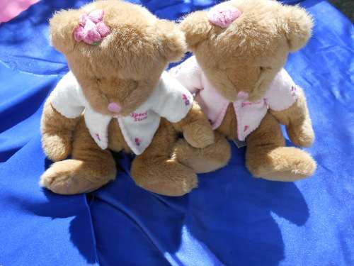 Russ.  Twin teddy bears.