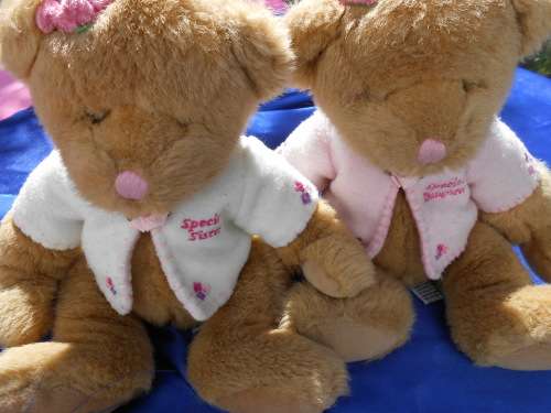 Russ.  Twin teddy bears.