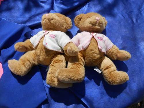 Russ.  Twin teddy bears.