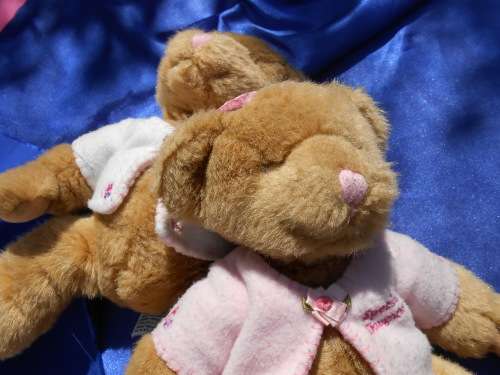 Russ.  Twin teddy bears.