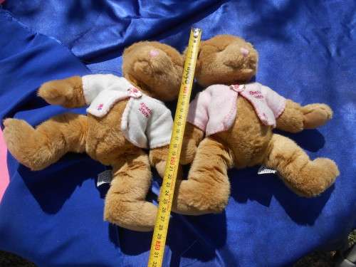 Russ.  Twin teddy bears.