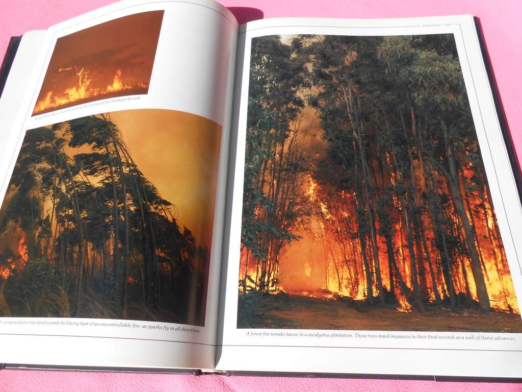 `South Africa Magnificent Land`  Reader`s Digest.  Hard cover.