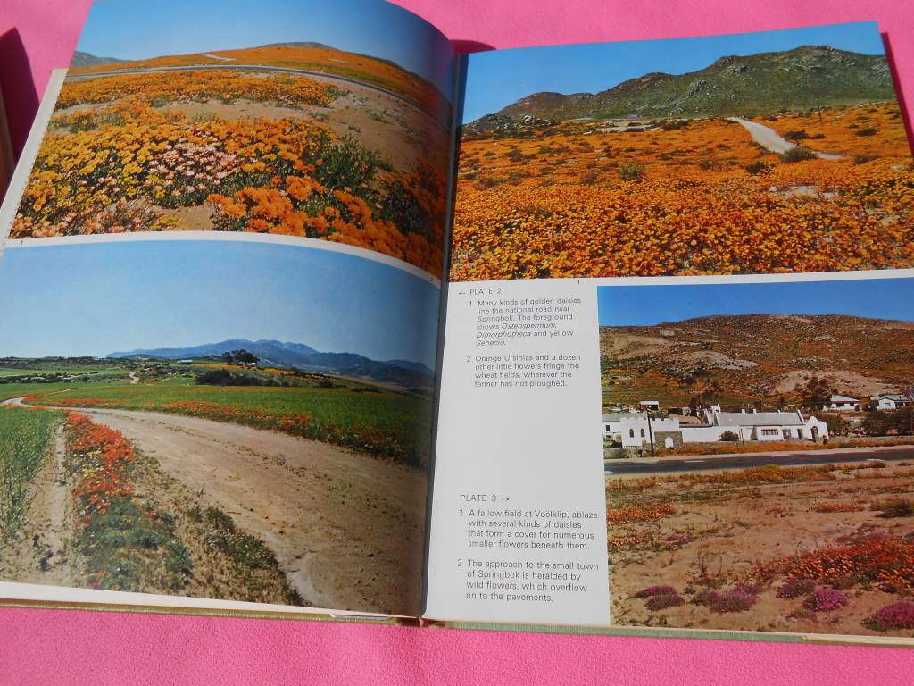 `Namaqualand in Flower`  Sima Eliovson.  Hard cover.