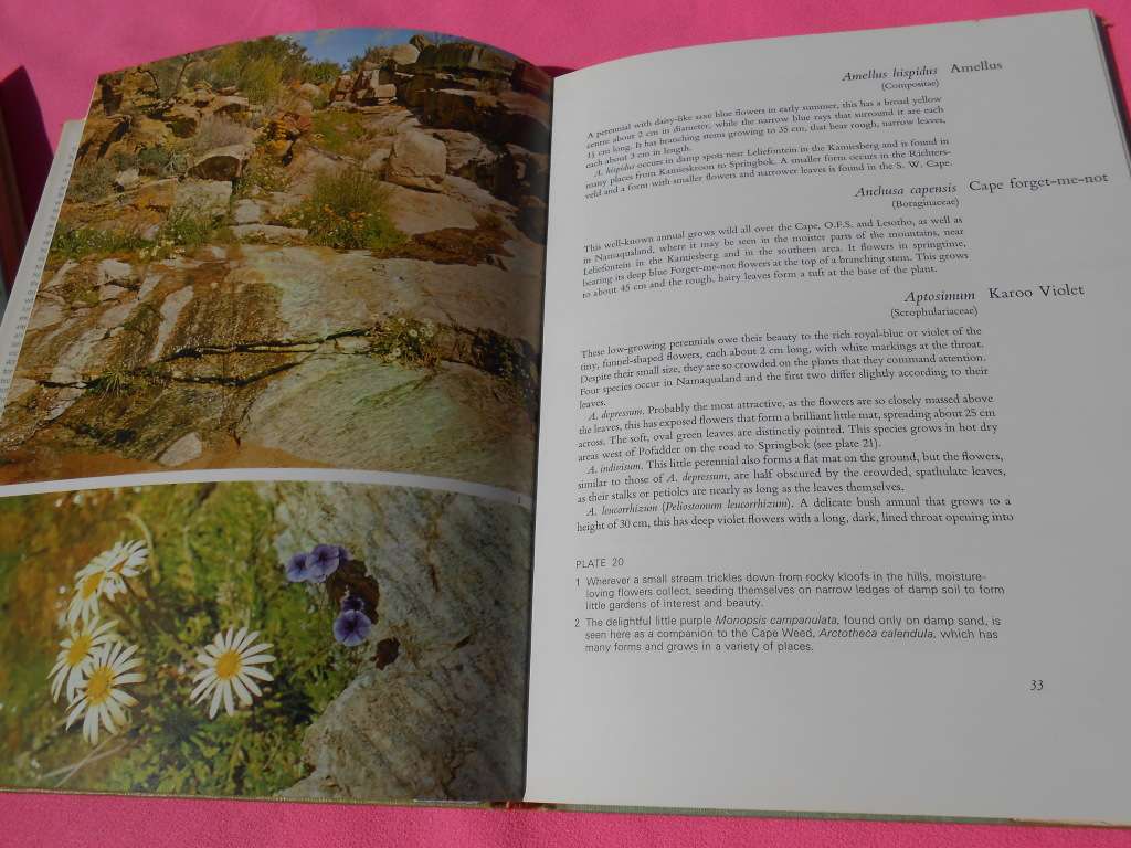 `Namaqualand in Flower`  Sima Eliovson.  Hard cover.