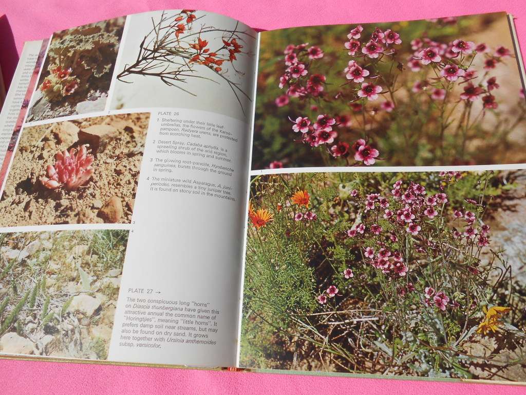 `Namaqualand in Flower`  Sima Eliovson.  Hard cover.