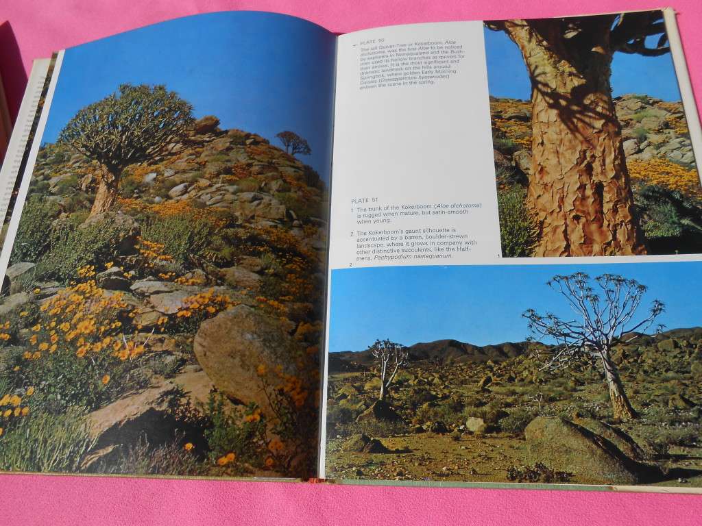 `Namaqualand in Flower`  Sima Eliovson.  Hard cover.