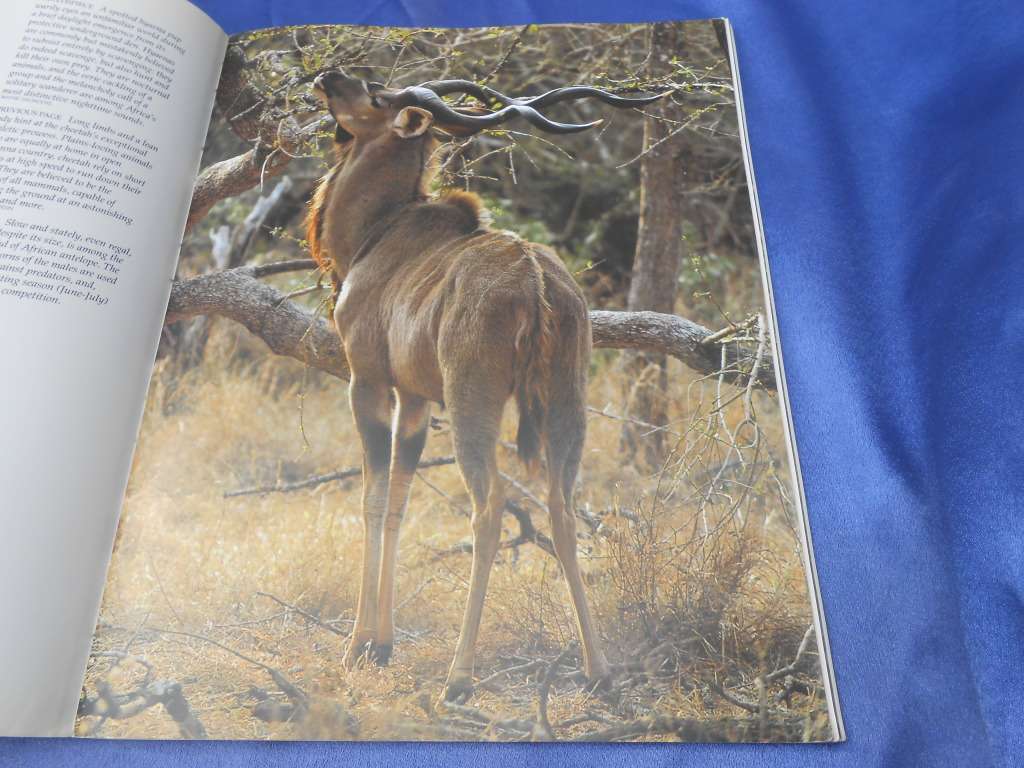 `Wildlife of the Kruger National Park and other Lowveld Reserves`  Soft cover.