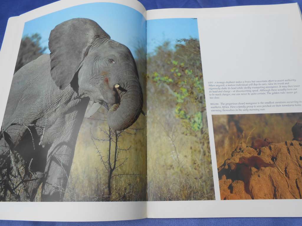`Wildlife of the Kruger National Park and other Lowveld Reserves`  Soft cover.