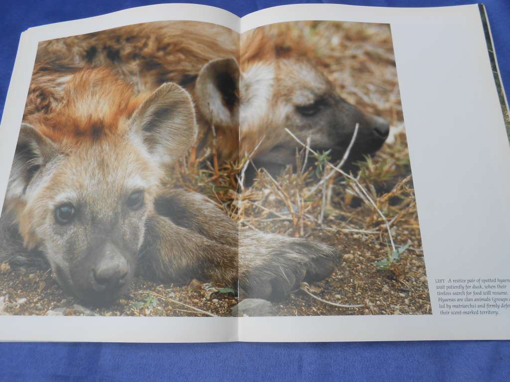 `Wildlife of the Kruger National Park and other Lowveld Reserves`  Soft cover.