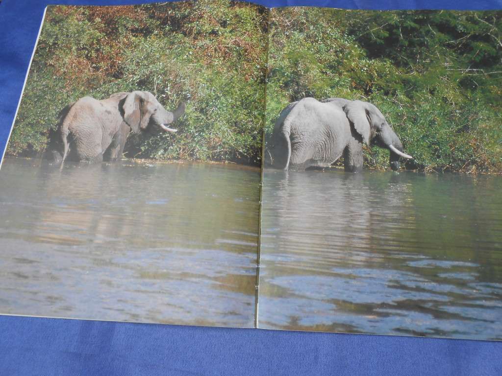 `Wildlife of the Kruger National Park and other Lowveld Reserves`  Soft cover.