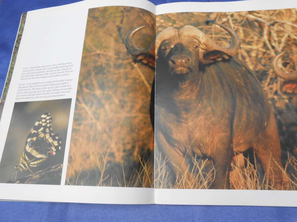 `Wildlife of the Kruger National Park and other Lowveld Reserves`  Soft cover.