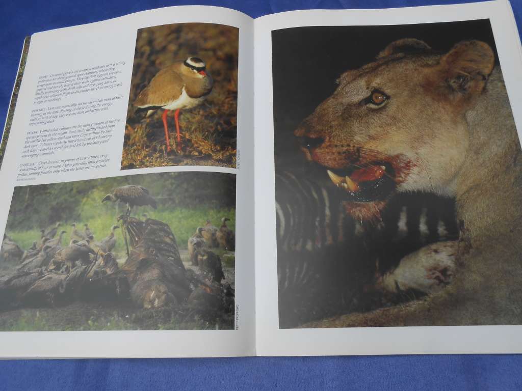 `Wildlife of the Kruger National Park and other Lowveld Reserves`  Soft cover.
