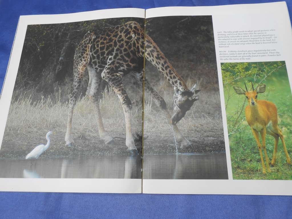 `Wildlife of the Kruger National Park and other Lowveld Reserves`  Soft cover.