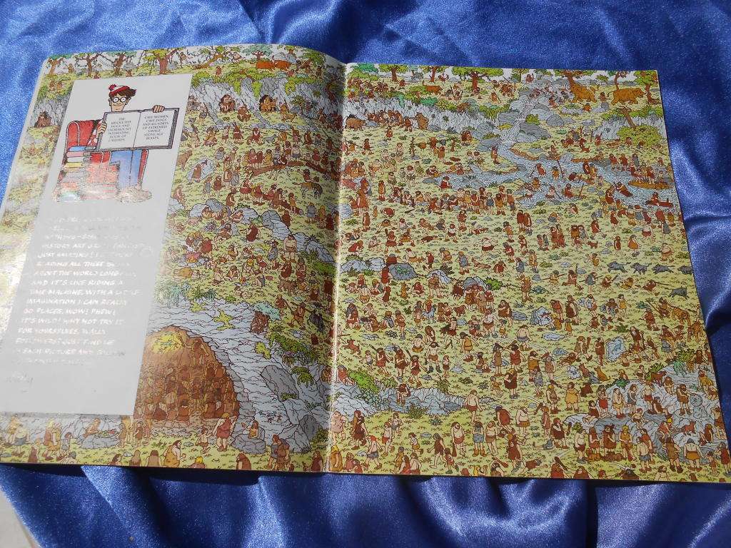 `Where`s Wally.  Now`  Soft cover.