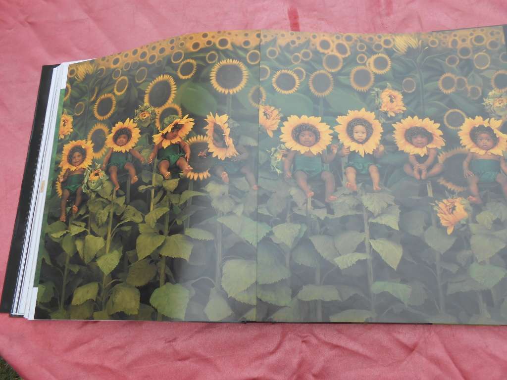 `Anne Geddes` A Labour of Love.  An Autobiography.   Hard cover in a case.