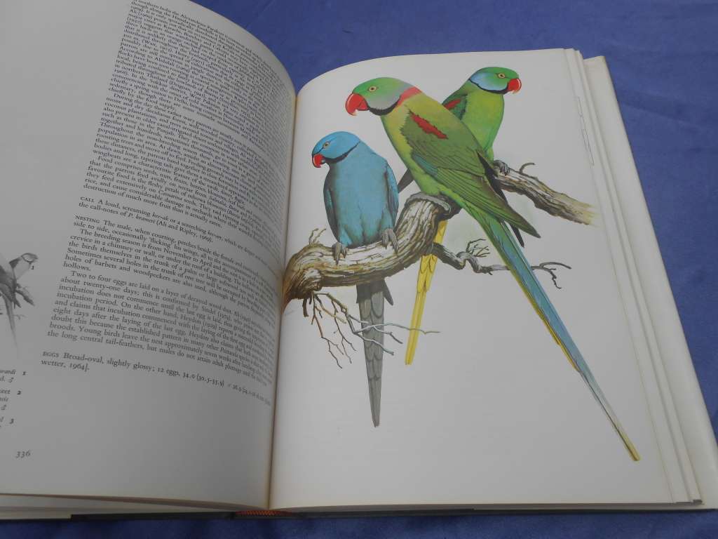 `Parrots of the World`  Second Edition.  Hard cover.  J.M. Forshaw.  A heavy book.