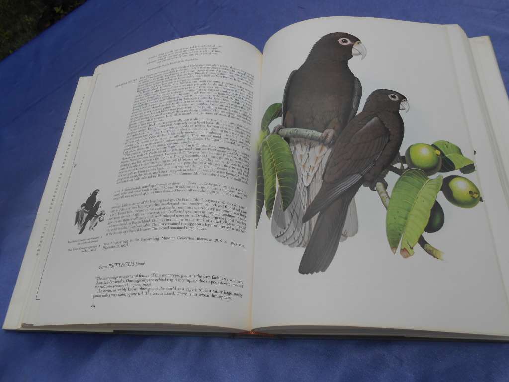 `Parrots of the World`  Second Edition.  Hard cover.  J.M. Forshaw.  A heavy book.