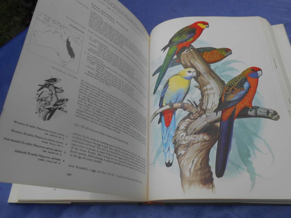 `Parrots of the World`  Second Edition.  Hard cover.  J.M. Forshaw.  A heavy book.